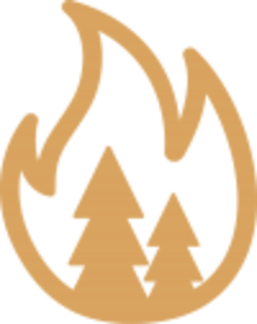 icon-fire-prevention
